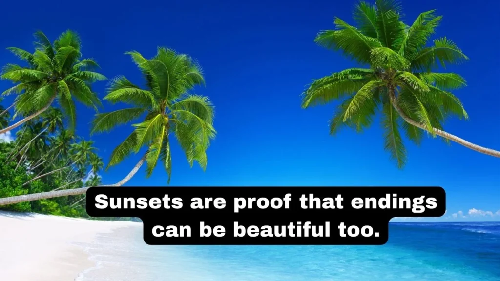 Sunset Beach Quotes for the Soul