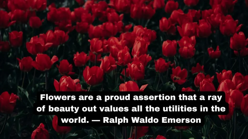 Short Flower Quotes About Life and Hope