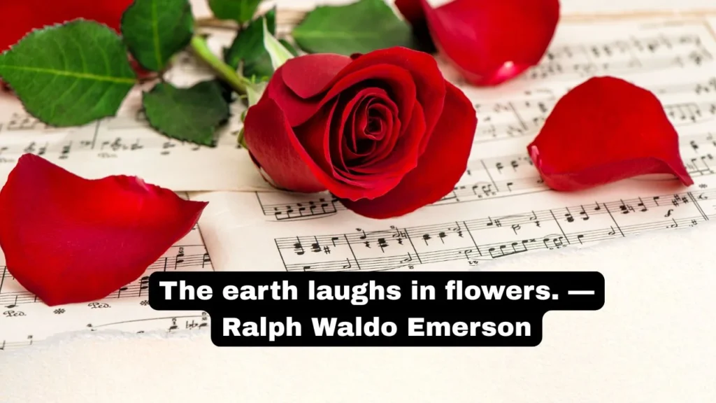 Flower Short Quotes From Famous Voices