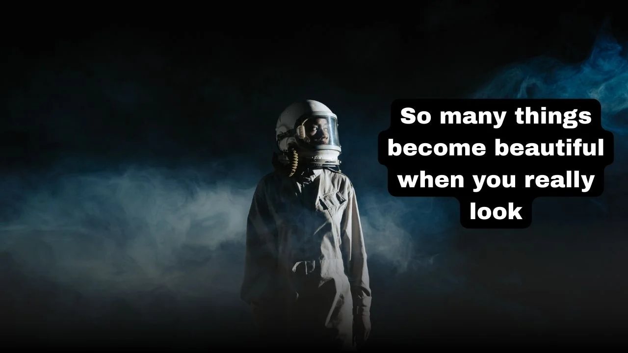 65 Aesthetic Short Quotes for Instagram & Journals