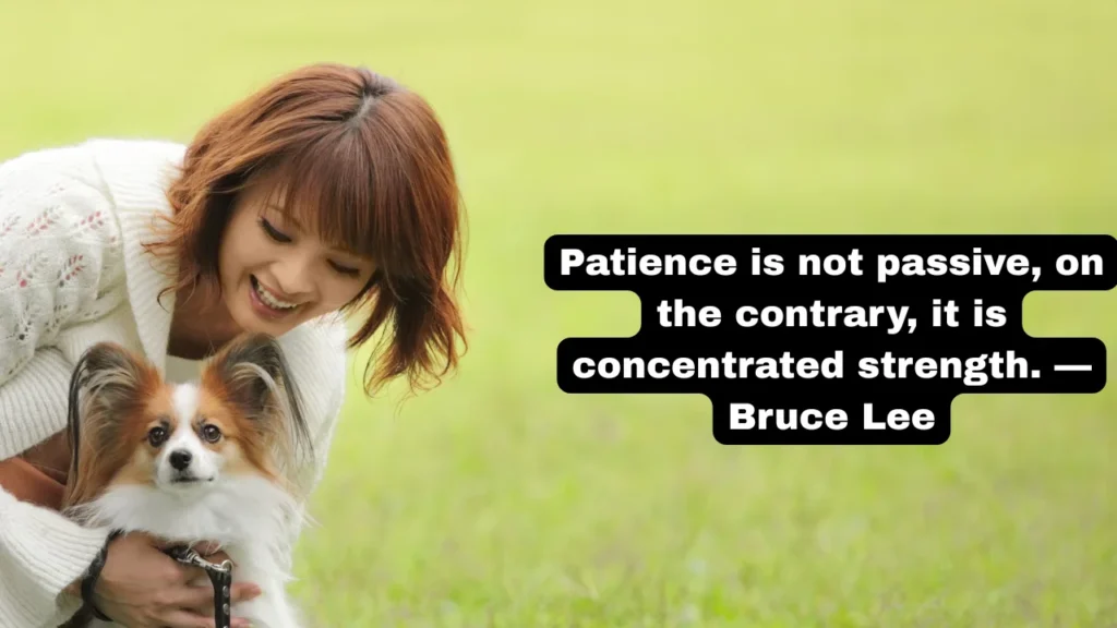 Best Patience Quotes of All Time