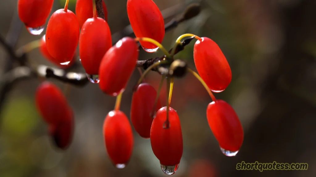 Corny Anniversary Quotes by Milestone Year β Because Every Year Deserves Its Own Cheese