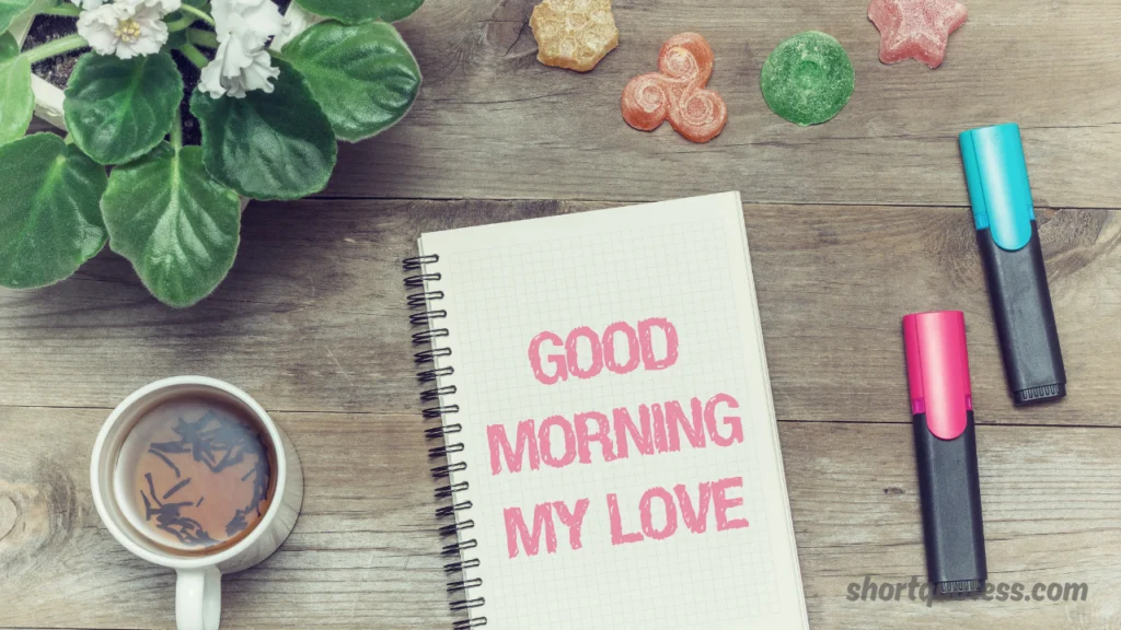 Good Morning My Love Quotes for Husband