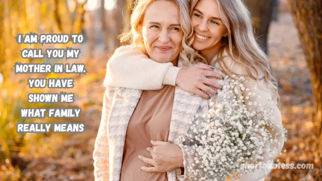 Mum in Law Quotes from Son in Law