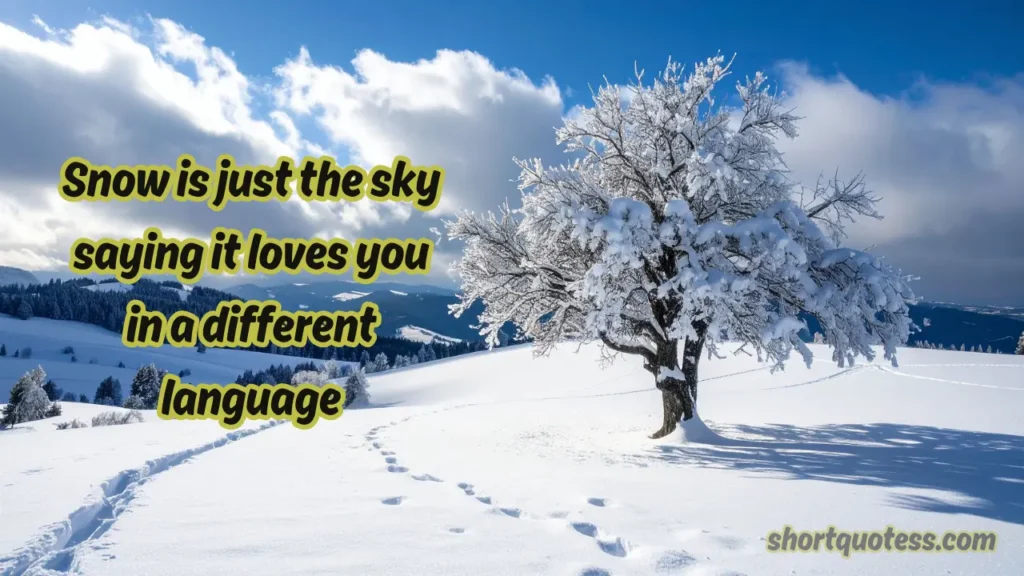 Short Snow Quotes and Captions for Instagram