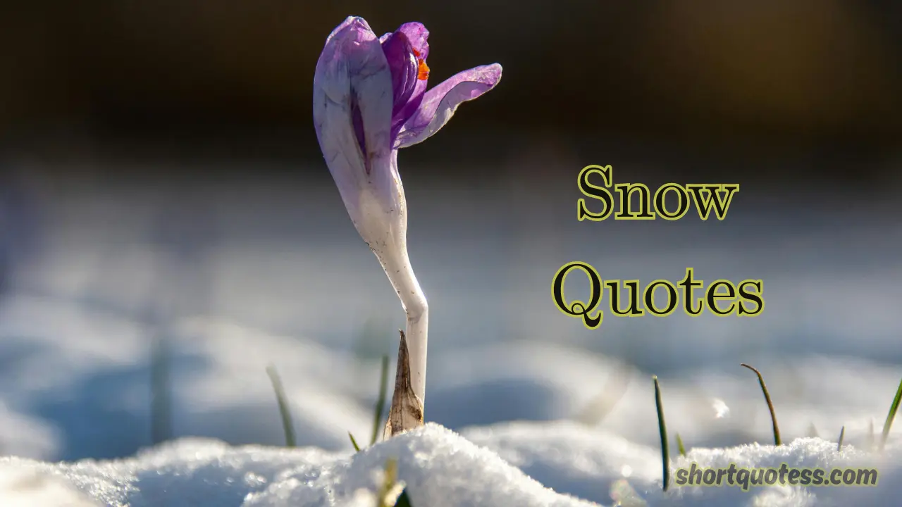 125 Snow Quotes to Capture Winter's Beauty
