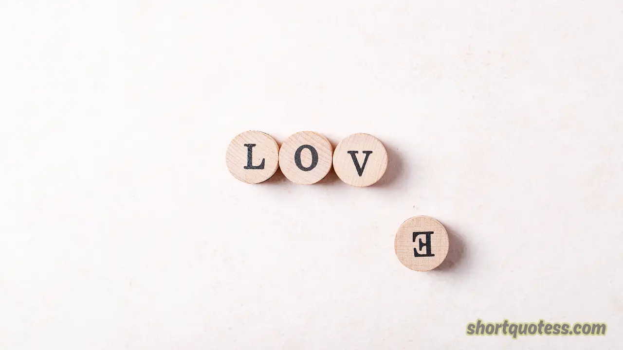 176 Love Hilarious Quotes That Will Make You Laugh and Fall in Love