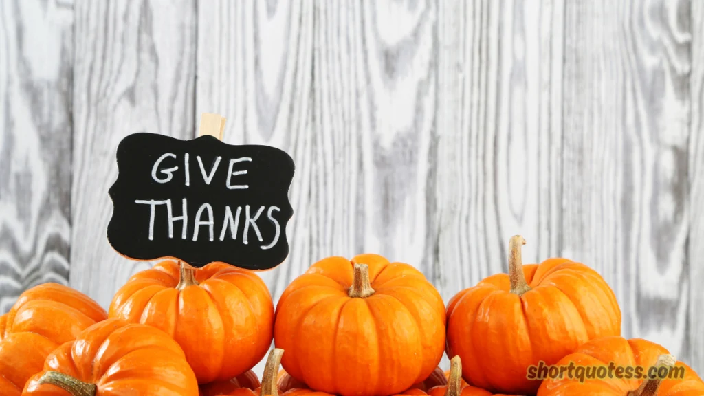 Hilarious Thanksgiving Quotes About Food, Turkey and the Feast