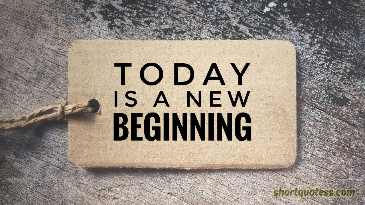 90 Thanksgiving Funniest Quotes to Make Everyone Laugh