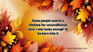 255 Appreciation Thanksgiving Quotes to Express Gratitude