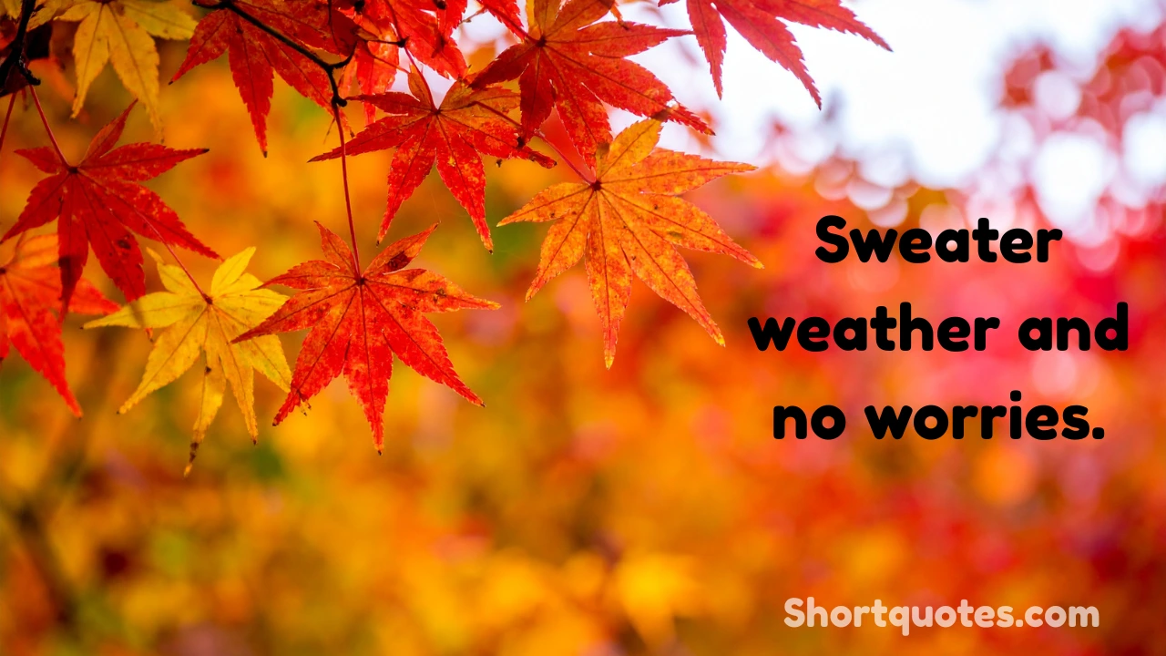 185 Autumn Quotes for Instagram to Boost Engagement This Fall Season