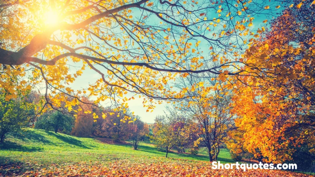 Deep and Soulful Autumn Quotes for Instagram