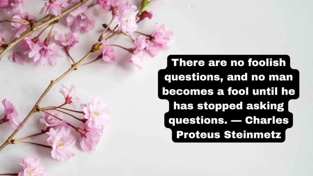 Curiosity Quotes on Wisdom and Asking Better Questions