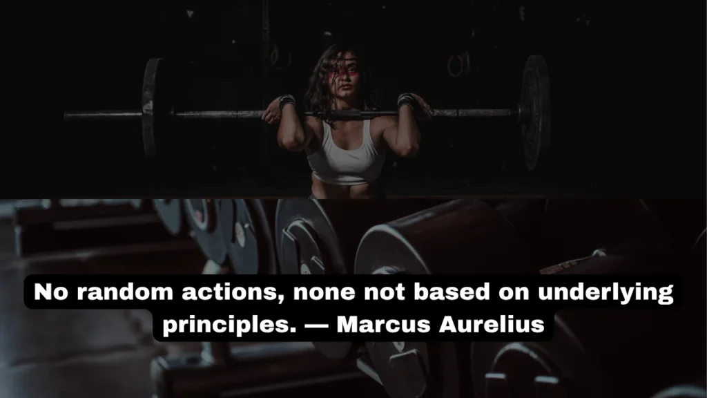 Stoic Discipline Quotes for Inner Peace and Focus