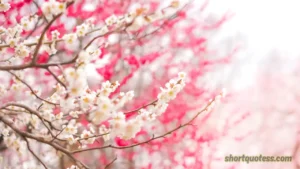 155 Spring Quotes to Welcome the Season of Renewal