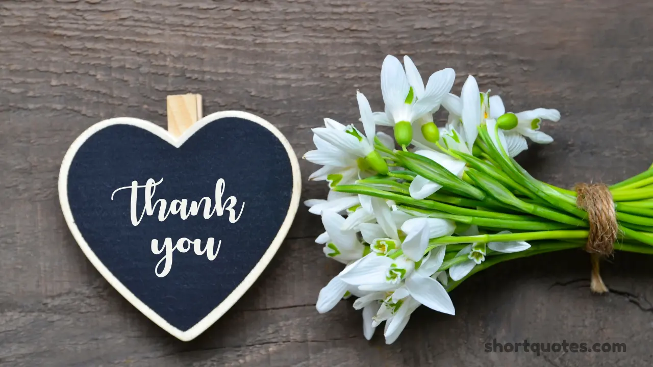 202 Thank You Quotes for Birthday Greetings to Show Gratitude