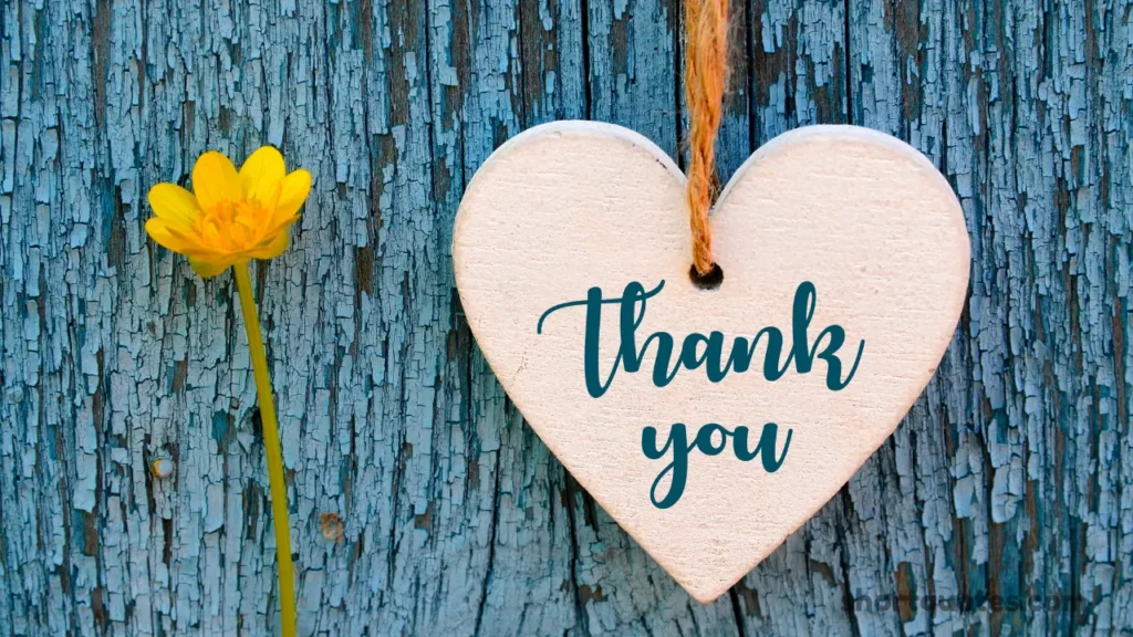Short & Simple Thank You Quotes for Birthday Greetings