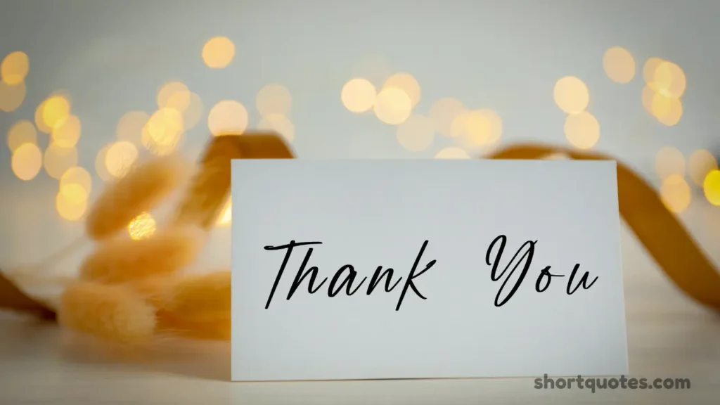 Heartfelt & Emotional Thank You Quotes for Birthday Greetings