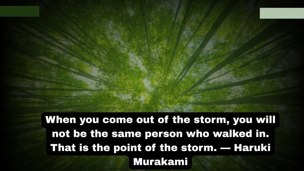 Motivational Calm Quotes to Regain Strength After the Storm